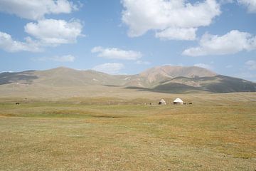 Yurts on a sunny plain by Mickéle Godderis