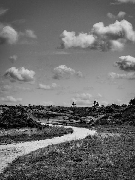 Dünenpoesie von Martijn Jebbink Photography