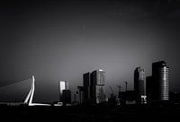 Skyline de Rotterdam