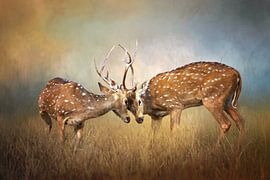 Twee Vechtende Herten Met Oranje en Bruine Kleuren van Diana van Tankeren