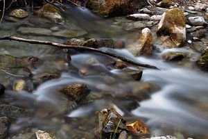 Rio Dilar sur Cornelis (Cees) Cornelissen