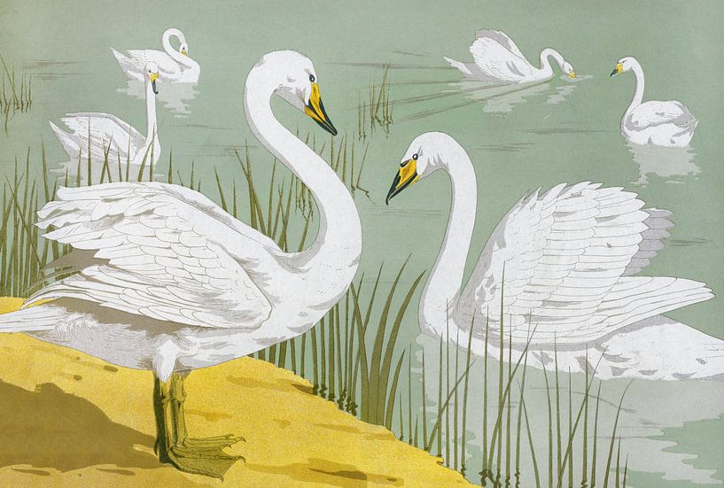 Wild swans, Maurice Pillard Verneuil by Masterful Masters