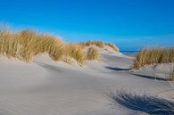 Strand auf der Insel Schiermonnikoog im Wattenmeer von Sjoerd van der Wal Fotografie Miniaturansicht