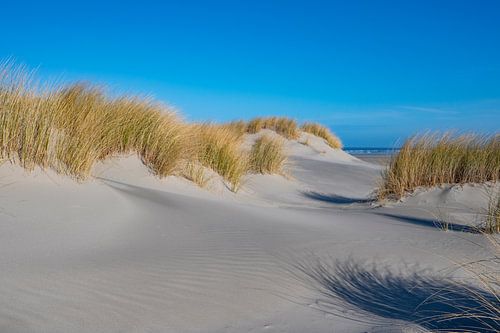 Plage de l'île Schiermonnikoog dans la mer des Wadden