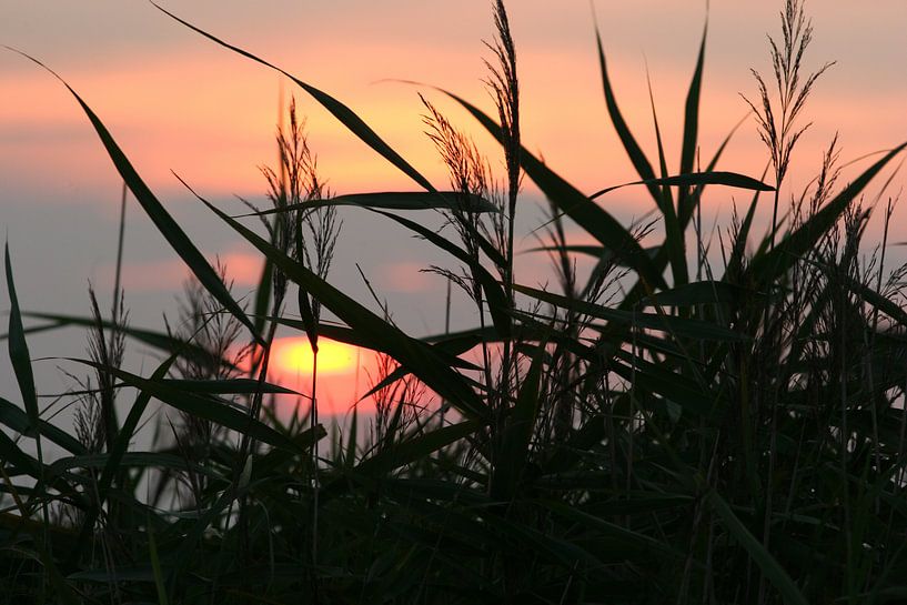 Zonsondergang par Dennis Claessens