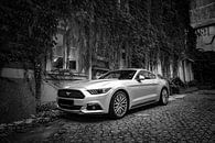 Ford Mustang van Mark Bolijn thumbnail