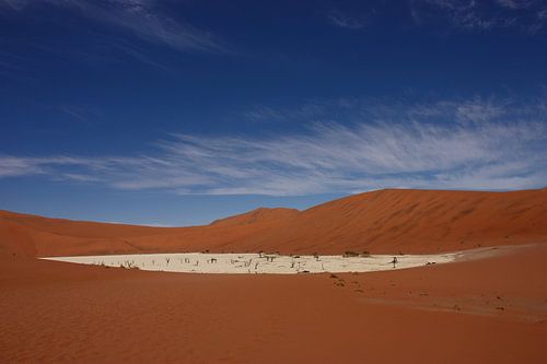 NAMIBIË ... Deadvlei pan