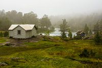 Berghutjes in de mist