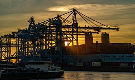 Sonnenuntergang am Containerterminal Zweite Maasvlakte. von Jaap van den Berg