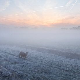 Winterochtend in de Polder van Elshout van Zwoele Plaatjes