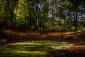 Green Pond