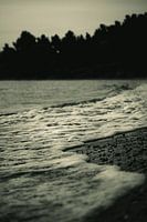 Murmures de la côte