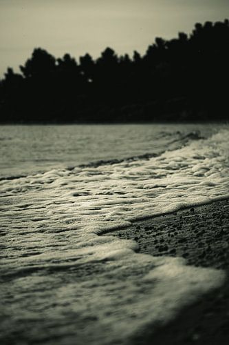 Das Flüstern der Küste