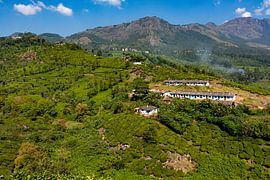 Tata Tea Estate Periakanal
