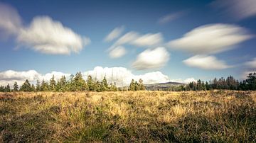 Herbst in Torfhausmoor von Steffen Henze