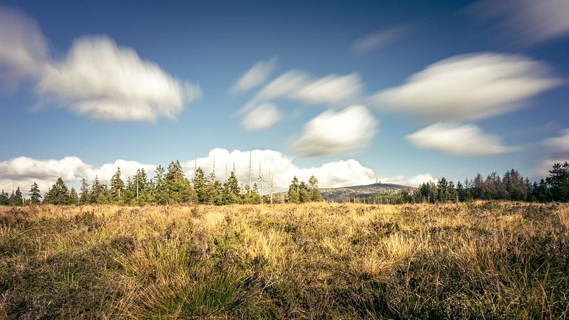 Automne à Torfhausmoor par Steffen Henze