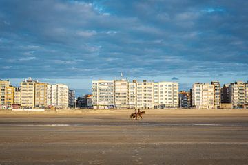 Strand en dijk van Koksijde van Johan Vanbockryck