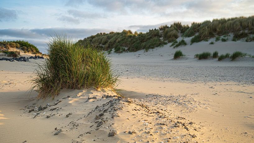 Ameland dune landscape by Peter Bartelings