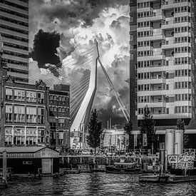 Vue du pont Erasmus sur Robbert Ladan