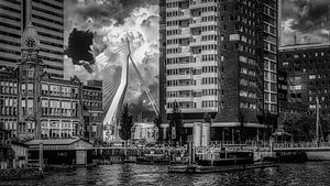 Blick auf die Erasmusbrücke