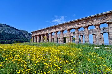 Oude tempels van Segesta op het eiland Sicilië van Silva Wischeropp