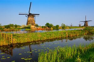 Molens bij de Kinderdijk van Henk Meijer Photography