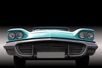 Grille US American classic car Thunderbird 1959