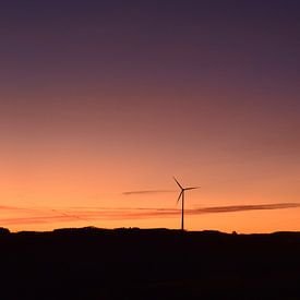 Bourscheid, Luxemburg von Jarne Buttiens
