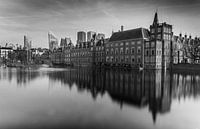 Het Binnenhof voor de Haagse skyline van Arthur Scheltes thumbnail