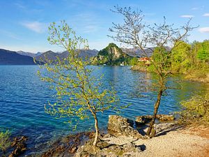 Une soirée de printemps au lac - Lago Maggiore Italie