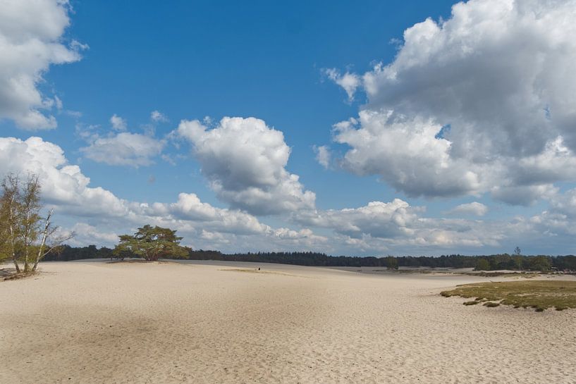 Soestduinen von Pictures by Van Haestregt