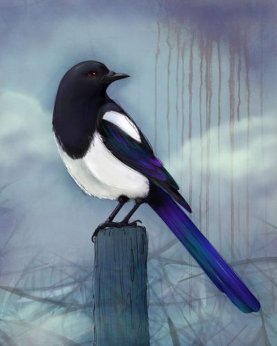 Magpie on a pole by Bianca Wisseloo