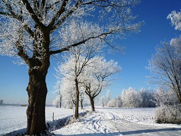 winter in Nederland von Tineke Mols