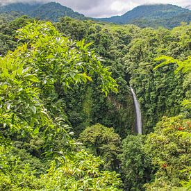 La Fortuna-Wasserfall in Costa Rica von Jessica Lokker