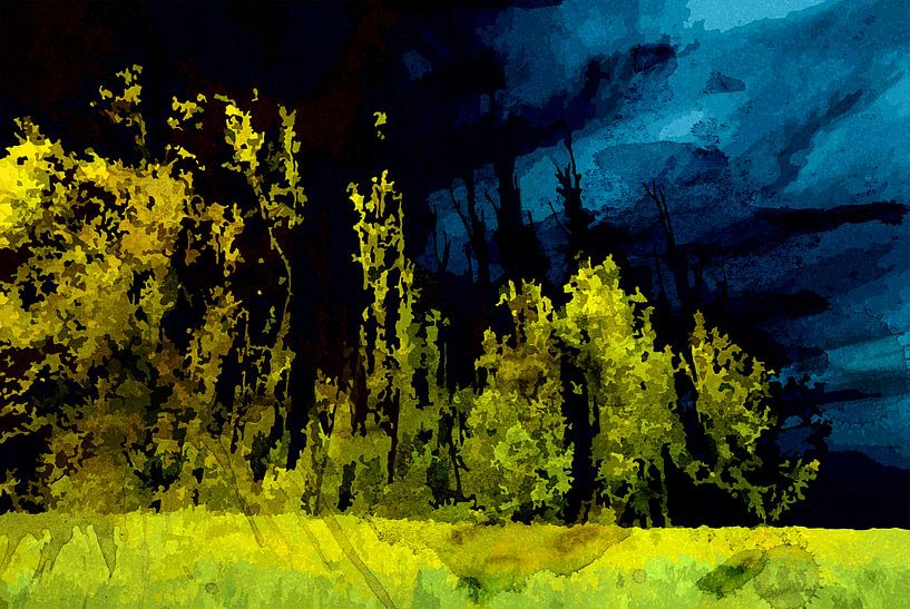 Nachtelijke bomenrij in de Biesbosch par Peter Baak
