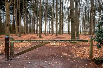 Urnenveld in het Evertsbos in Drenthe van Evert Jan Luchies