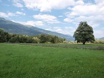 Drautal bij Dellach, Oostenrijk van Rinke Velds