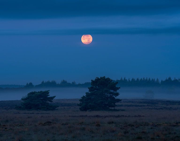Pleine lune et brouillard par Rick Kloekke