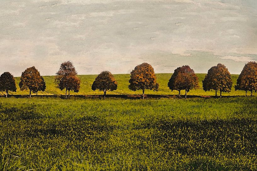 Herfstbomen by marleen brauers