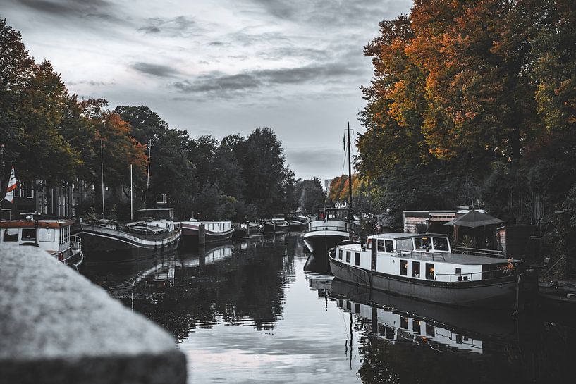 Herbstliche Szene Reitdiep-Kanal von Alwin van Wijngaarden