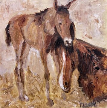 Foal with mare