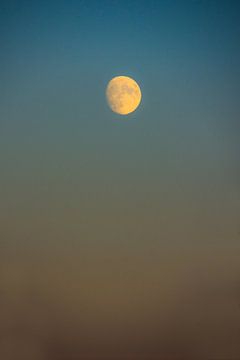 La lune et le crépuscule sur Hugo Braun