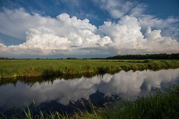 Dikke bui sur Fonger de Vlas