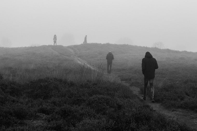 Gasterse Duinen von Rob Veldman