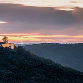 Le château de Trifels dans la forêt du Palatinat au coucher du soleil. sur Voss Fine Art Fotografie
