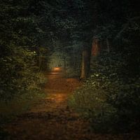 Paysage hollandais avec forêt dans le style des maîtres hollandais