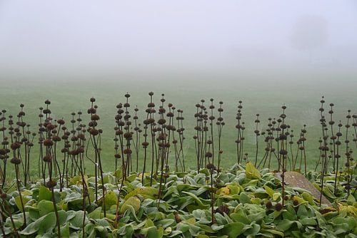 Morgenstille im Nebel