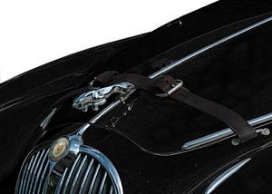 Jaguar Mark II & Leaper