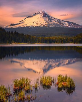 Coucher de soleil au Mont Hood, Oregon