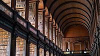 Bibliothek des Trinity College von Terry De roode Miniaturansicht